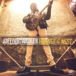 Joe Louis Walker - Hornet