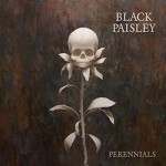 BLACK PAISLEY - Perennials