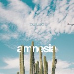 Album review: PERUSA – Amnesia