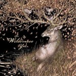 Album review: THE WILDERNESS YET