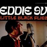 Album review: EDDIE 9V – Little Black Flies