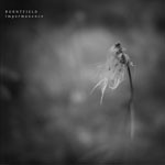 Album review: BURNTFIELD – Impermanence