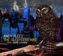 ANDY FLEET - The Sleepless Kind ANDY FLEET - The Sleepless Kind