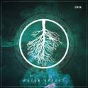 SINKA - Cause Effect