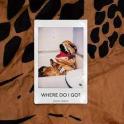 JESSE DIPPER - Where Do I Go