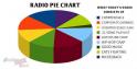 Radio pie chart