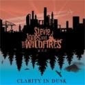 STEVIE JONES AND THE WILDFIRES - Clarity In The Dusk