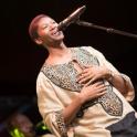 Ladysmith Black Mambazo - Cambridge Folk Festival 2014
