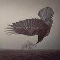 KATATONIA - The Fall Of Hearts