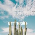 Album review: PERUSA – Amnesia