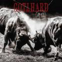GOTTHARD - #13 GOTTHARD - #13