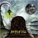 Beardfish