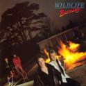wildlife burning