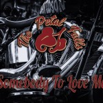 THE PETAL FALLS – Somebody to Love Me