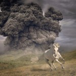 white-buffalo-year-of-the-dark-horse-Cover-Art