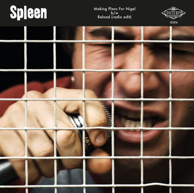 spleen