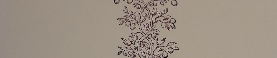 ROBIN ADAMS – THE BEGGAR REVIEW